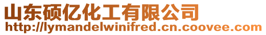 山東碩億化工有限公司