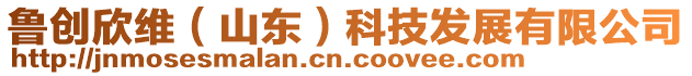 魯創(chuàng)欣維(山東)科技發(fā)展有限公司
