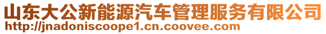 山東大公新能源汽車管理服務(wù)有限公司