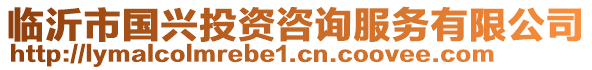 臨沂市國(guó)興投資咨詢服務(wù)有限公司