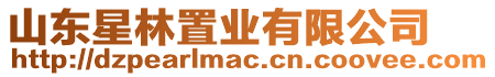 山東星林置業有限公司