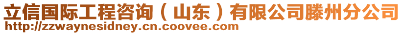 立信國(guó)際工程咨詢（山東）有限公司滕州分公司