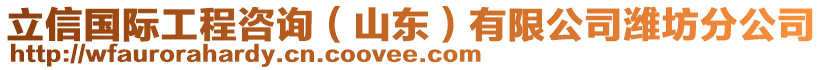 立信國際工程咨詢(山東)有限公司濰坊分公司