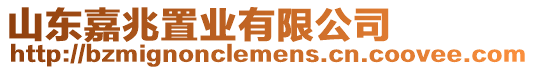 山東嘉兆置業有限公司
