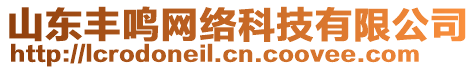 山東豐鳴網(wǎng)絡科技有限公司