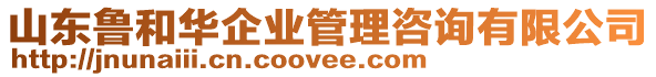 山東魯和華企業(yè)管理咨詢有限公司