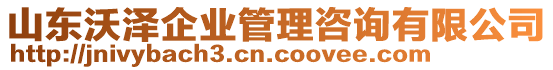 山東沃澤企業(yè)管理咨詢有限公司