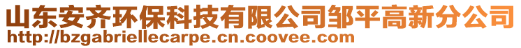 山東安齊環(huán)保科技有限公司鄒平高新分公司