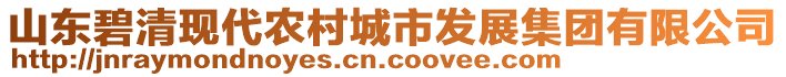 山東碧清現(xiàn)代農(nóng)村城市發(fā)展集團有限公司