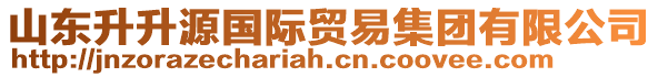 山東升升源國際貿(mào)易集團(tuán)有限公司