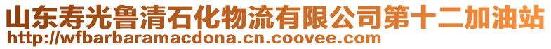 山東壽光魯清石化物流有限公司第十二加油站