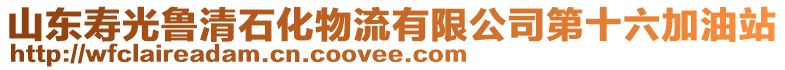 山東壽光魯清石化物流有限公司第十六加油站