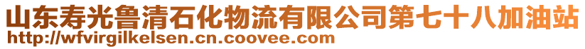 山東壽光魯清石化物流有限公司第七十八加油站