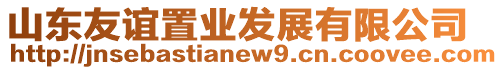 山東友誼置業(yè)發(fā)展有限公司