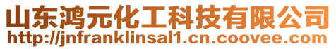 山東鴻元化工科技有限公司