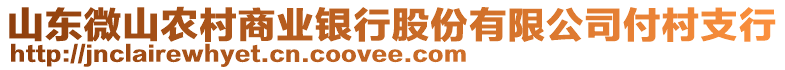 山東微山農(nóng)村商業(yè)銀行股份有限公司付村支行