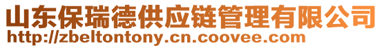 山東保瑞德供應(yīng)鏈管理有限公司