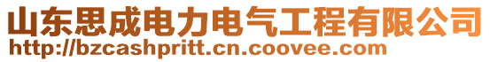 山東思成電力電氣工程有限公司