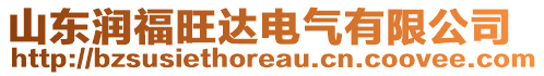 山東潤(rùn)福旺達(dá)電氣有限公司