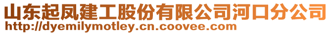 山東起鳳建工股份有限公司河口分公司