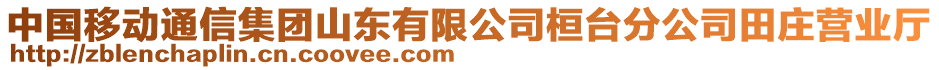 中國(guó)移動(dòng)通信集團(tuán)山東有限公司桓臺(tái)分公司田莊營(yíng)業(yè)廳