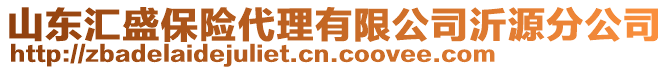 山東匯盛保險(xiǎn)代理有限公司沂源分公司