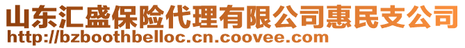 山東匯盛保險代理有限公司惠民支公司