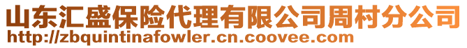 山東匯盛保險代理有限公司周村分公司