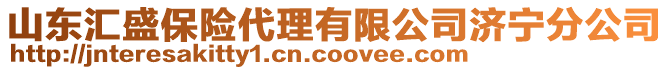 山東匯盛保險代理有限公司濟寧分公司