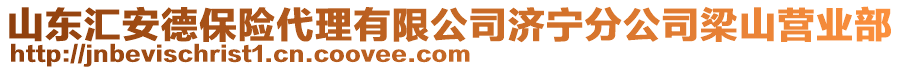 山東匯安德保險(xiǎn)代理有限公司濟(jì)寧分公司梁山營(yíng)業(yè)部