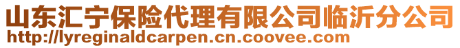 山東匯寧保險代理有限公司臨沂分公司