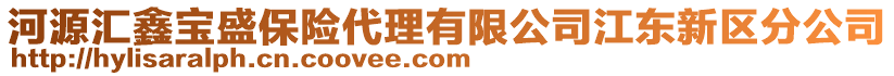 河源匯鑫寶盛保險(xiǎn)代理有限公司江東新區(qū)分公司