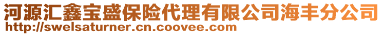 河源匯鑫寶盛保險代理有限公司海豐分公司