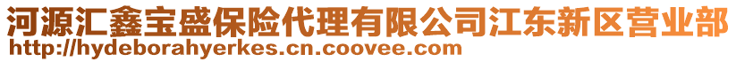 河源匯鑫寶盛保險(xiǎn)代理有限公司江東新區(qū)營(yíng)業(yè)部