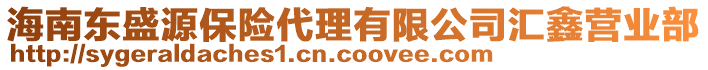 海南東盛源保險代理有限公司匯鑫營業(yè)部