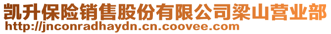 凱升保險(xiǎn)銷(xiāo)售股份有限公司梁山營(yíng)業(yè)部