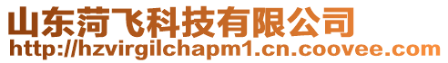 山東菏飛科技有限公司