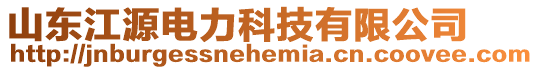 山東江源電力科技有限公司