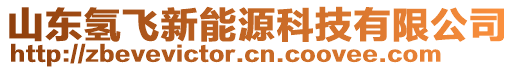 山東氫飛新能源科技有限公司