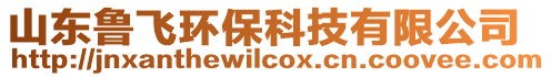 山東魯飛環(huán)?？萍加邢薰? style=