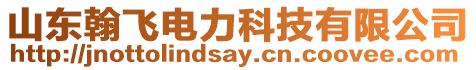 山東翰飛電力科技有限公司