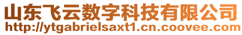 山東飛云數(shù)字科技有限公司