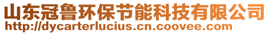 山東冠魯環(huán)保節(jié)能科技有限公司