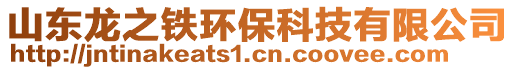 山東龍之鐵環(huán)保科技有限公司