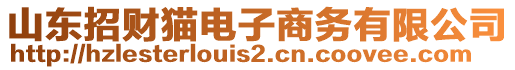 山東招財貓電子商務有限公司