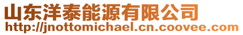 山東洋泰能源有限公司