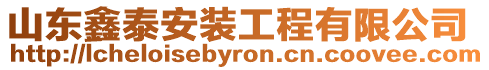 山東鑫泰安裝工程有限公司