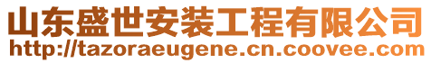 山東盛世安裝工程有限公司