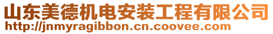 山東美德機電安裝工程有限公司