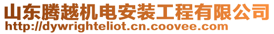 山東騰越機(jī)電安裝工程有限公司